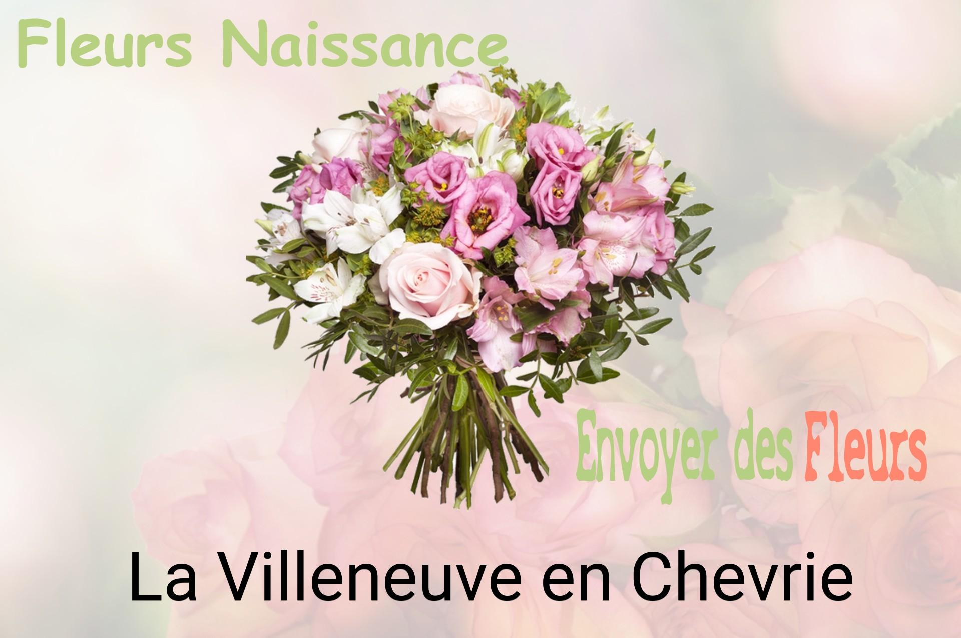 Bouquet de fleurs de naissance livré à La Villeneuve-en-Chevrie
